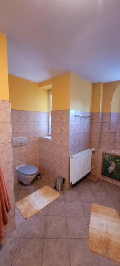 Stylowy Apartament Na Ptasiej Gorze Єленя-Ґура Екстер'єр фото